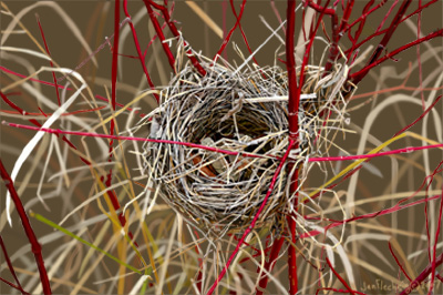 NEST2