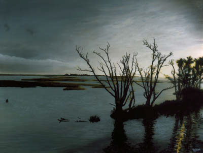gray sky bare trees on small islands at sundown
