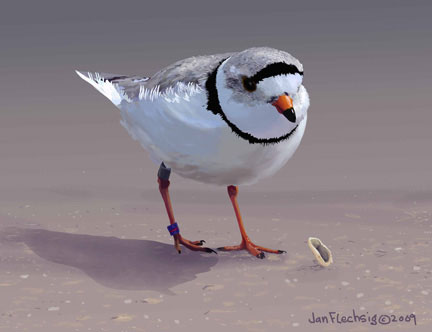 fatherbird2a2Q1