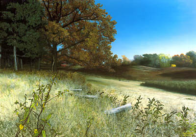 oak pine autumn weeds along fence meadow