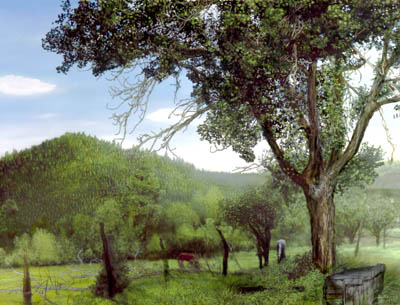 Guadalupita New Mexico cottonwood tree corral hillside