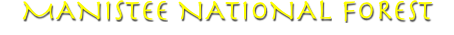 manisttilte2