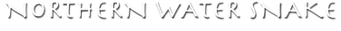 norterntitle2