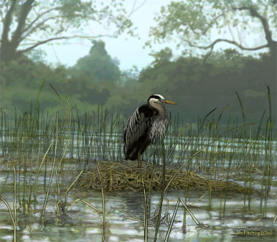 oldheron1