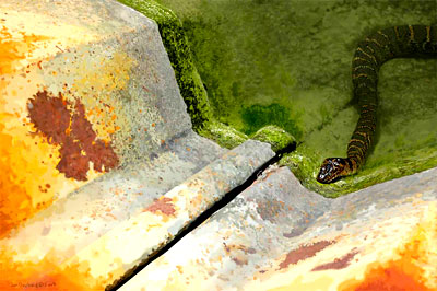 snakenapAQ1