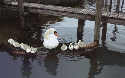 swi1