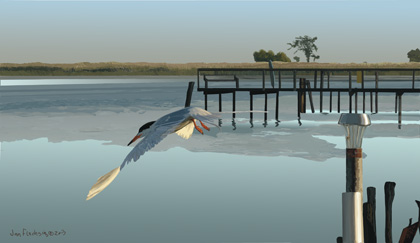 tern takes off from a docklight looking for minnows