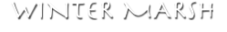 wintertitle